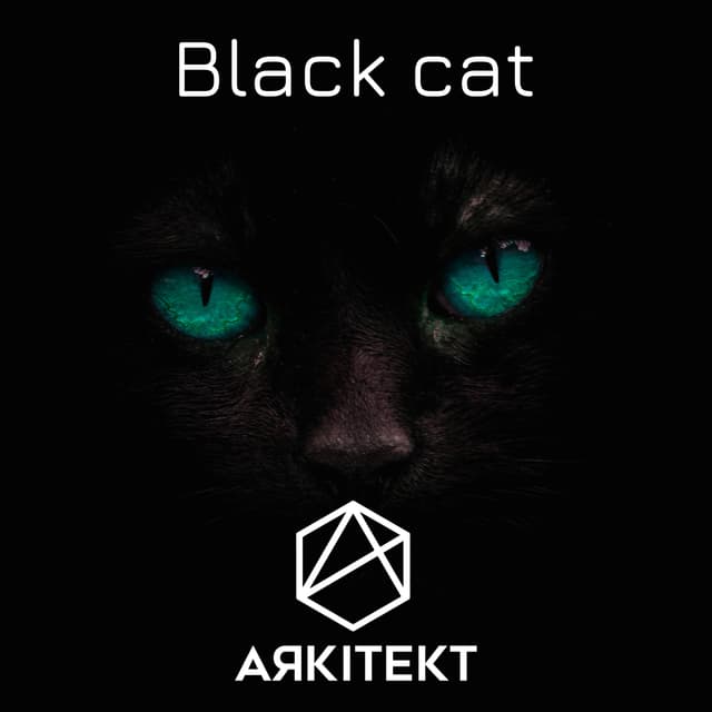 /musicPage/singles/017_black_cat.jpg